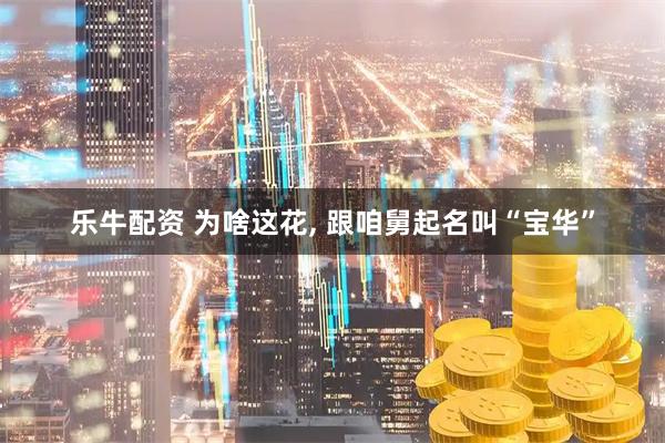 乐牛配资 为啥这花, 跟咱舅起名叫“宝华”